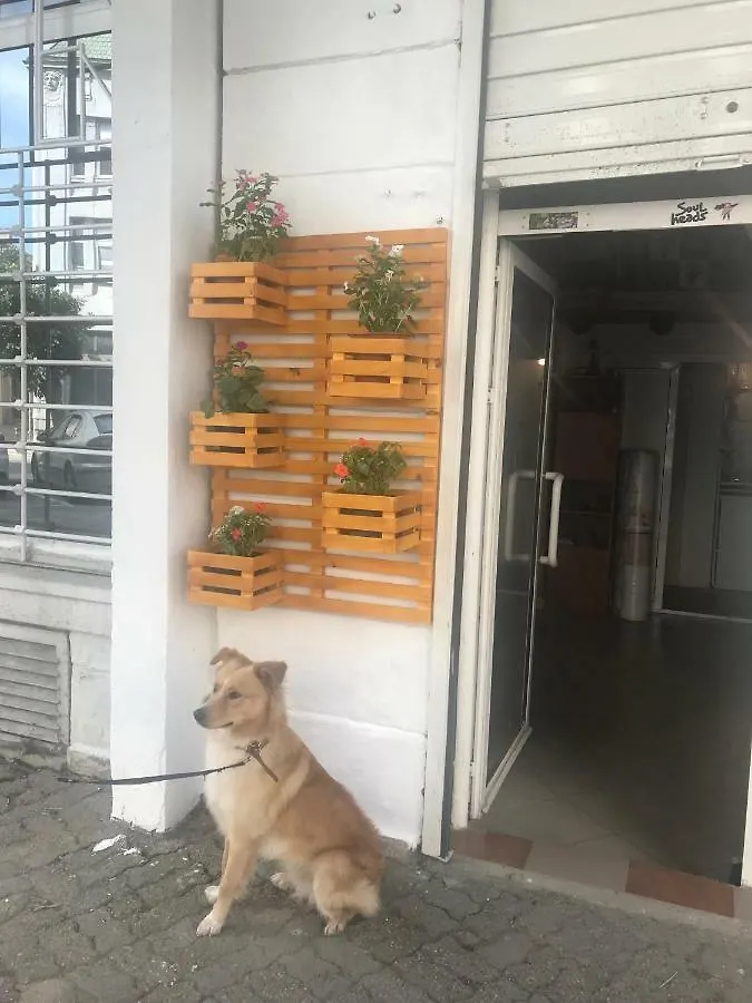 Art Studio/ Atelier Партерь Appartement Varna 0*,  Bulgarije
